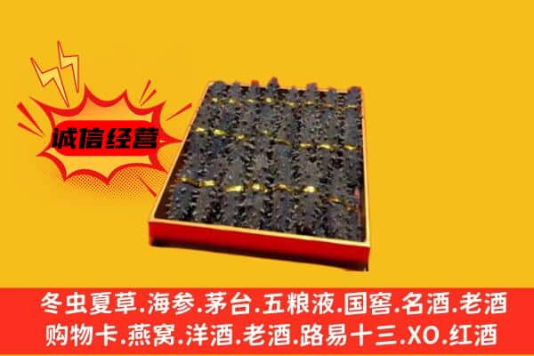 通化市回收海参